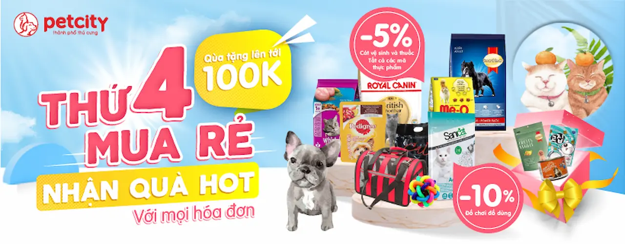 Petcity 1 Chuỗi Cửa Hàng Đồ Thú Cưng - Siêu Thị Đồ Cho Chó Mèo, Thú Cưng