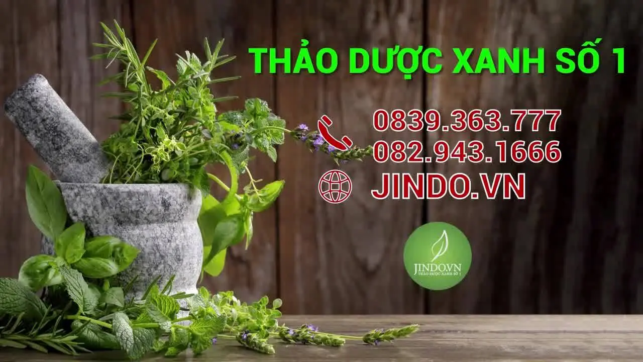 JINDO Thảo Dược Xanh Số 1 Là Website Của Nhà Thuốc Nam Dược Xanh - Trần Gia Uy Tín Bí Truyền 400 Năm